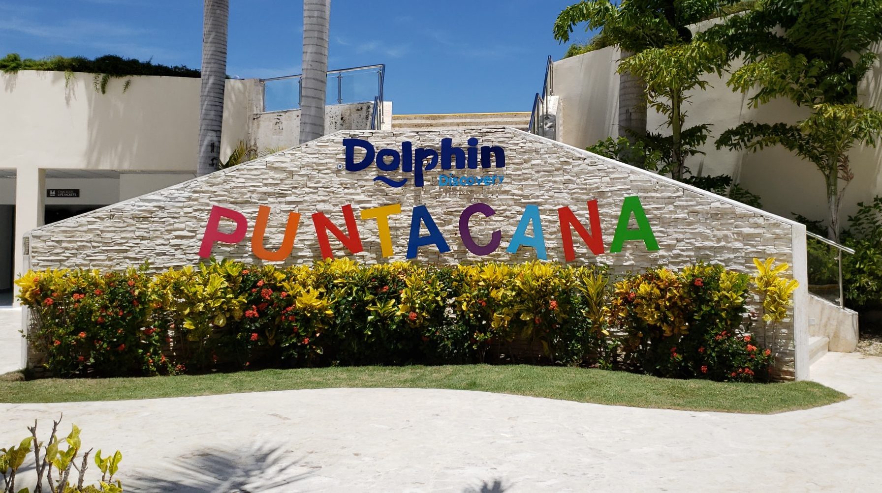 DOLPHIN DISCOVERY PUNTA CANA